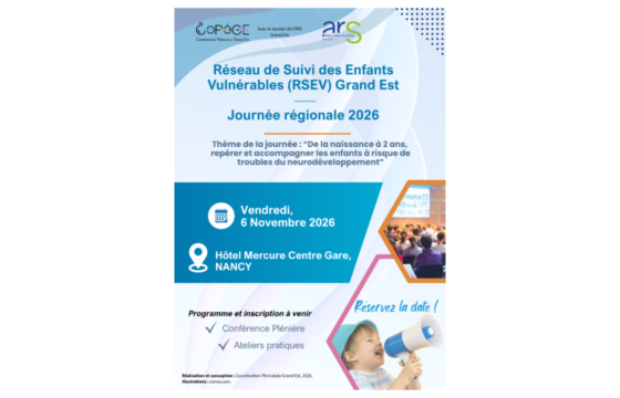 RSEV : Journée régionale du Réseau « Naître et Grandir en Grand Est »